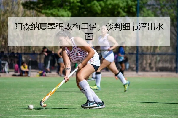 阿森纳夏季强攻梅里诺，谈判细节浮出水面
